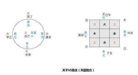 十二地支屬性|一張圖搞懂天干地支與陰陽五行的關係